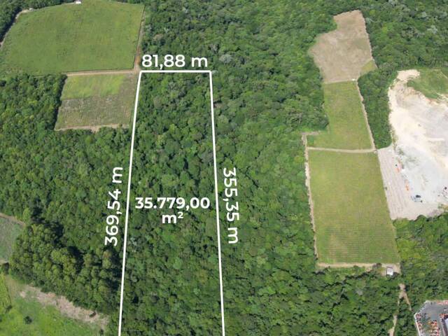 #392 - Chácara para Venda em Flores da Cunha - RS - 1