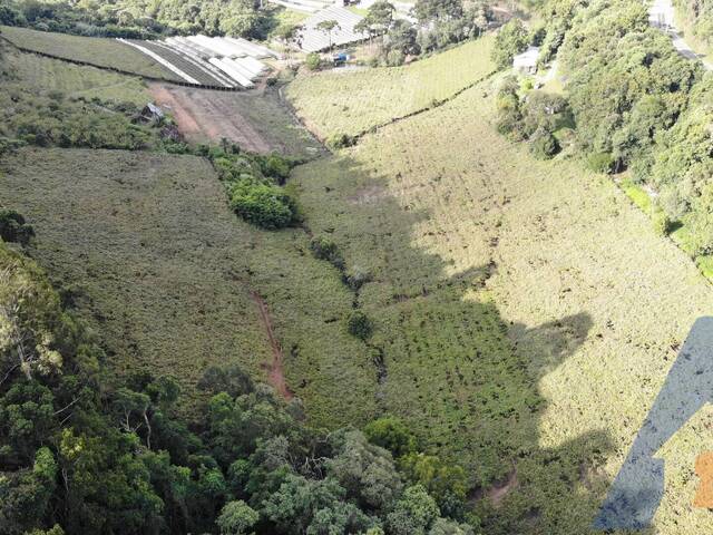 Chácara para Venda em Flores da Cunha - 5