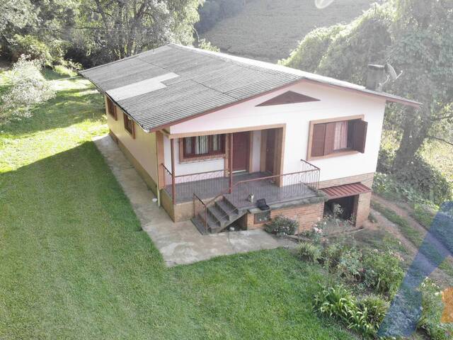 #394 - Chácara para Venda em Flores da Cunha - RS - 1