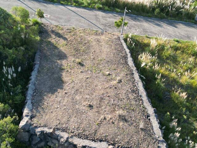 Terreno para Venda em Flores da Cunha - 5
