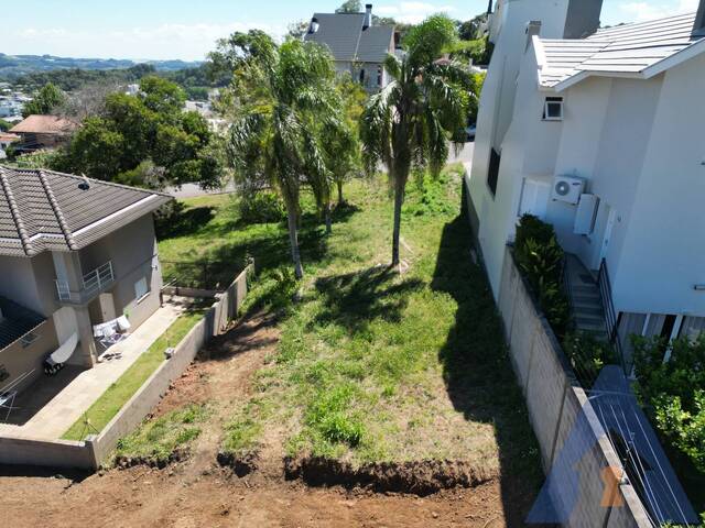 Terreno para Venda em Flores da Cunha - 5