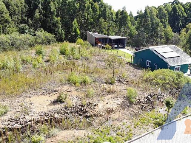 #398 - Terreno para Venda em Flores da Cunha - RS - 2