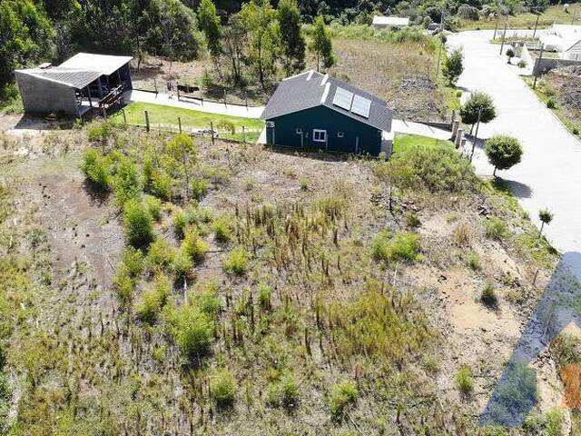 #398 - Terreno para Venda em Flores da Cunha - RS - 3