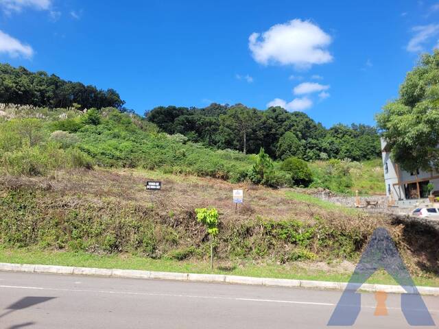 #397 - Terreno para Venda em Flores da Cunha - RS - 1
