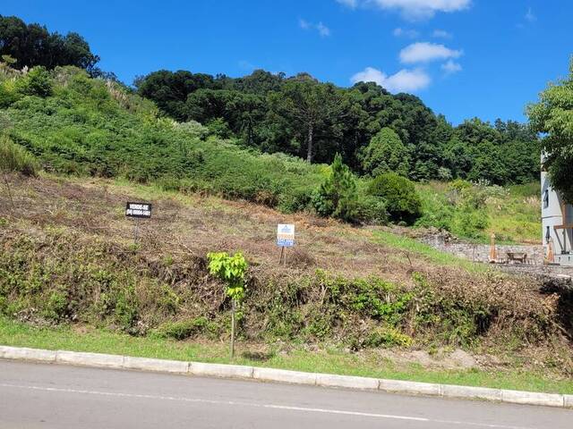 #397 - Terreno para Venda em Flores da Cunha - RS - 2