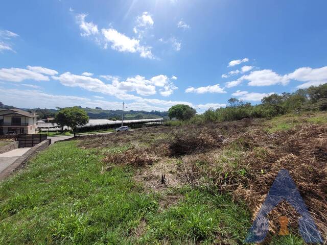 #397 - Terreno para Venda em Flores da Cunha - RS - 3