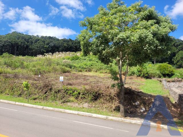 #397 - Terreno para Venda em Flores da Cunha - RS - 3