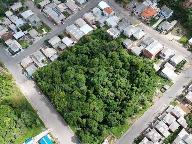 #399 - Terreno para Venda em Flores da Cunha - RS - 1