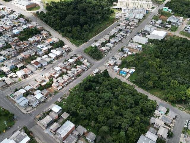 #399 - Terreno para Venda em Flores da Cunha - RS - 2