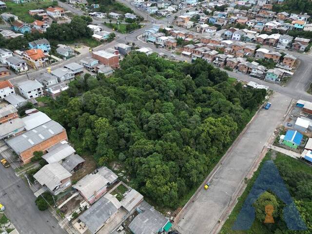 #399 - Terreno para Venda em Flores da Cunha - RS - 3