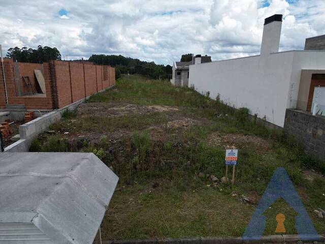 #403 - Terreno para Venda em Flores da Cunha - RS - 1