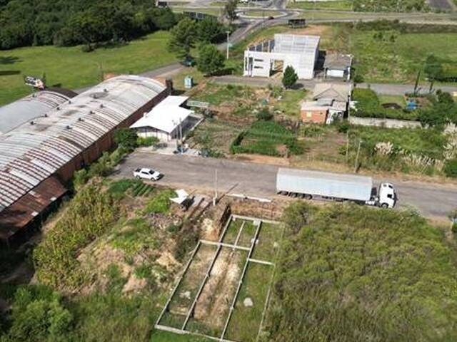 #402 - Terreno para Venda em Flores da Cunha - RS - 1