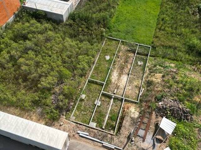 #402 - Terreno para Venda em Flores da Cunha - RS - 3