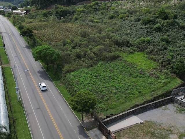Terreno para Venda em Flores da Cunha - 5