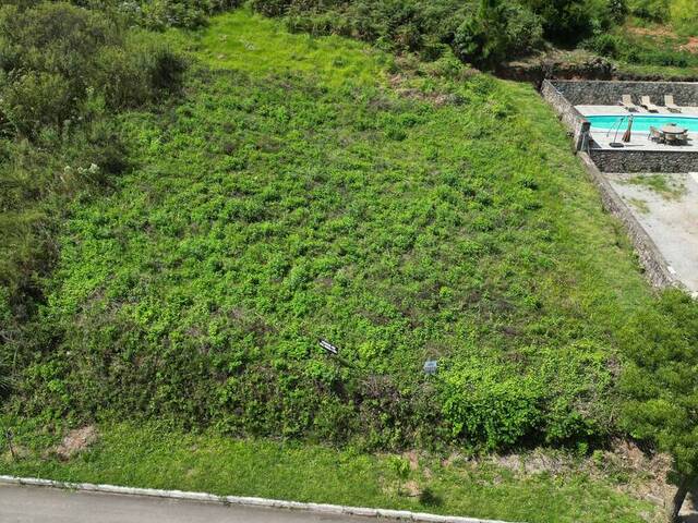 #397 - Terreno para Venda em Flores da Cunha - RS - 1