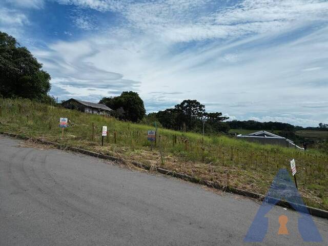 #406 - Terreno para Venda em Caxias do Sul - RS - 1