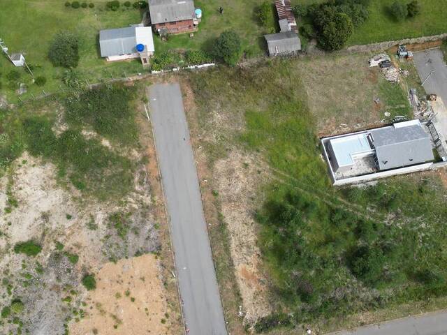 Terreno para Venda em Caxias do Sul - 4