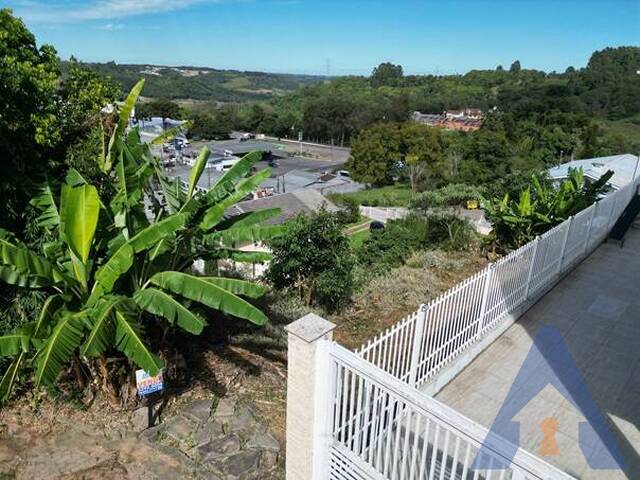 Terreno para Venda em Flores da Cunha - 4