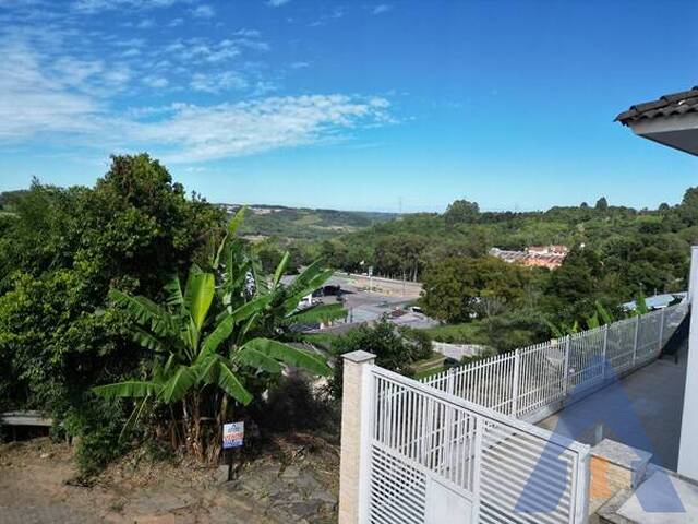#65 - Terreno para Venda em Flores da Cunha - RS - 3