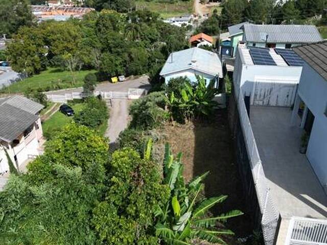 Terreno para Venda em Flores da Cunha - 5