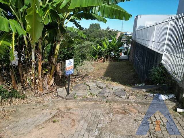 #65 - Terreno para Venda em Flores da Cunha - RS - 1