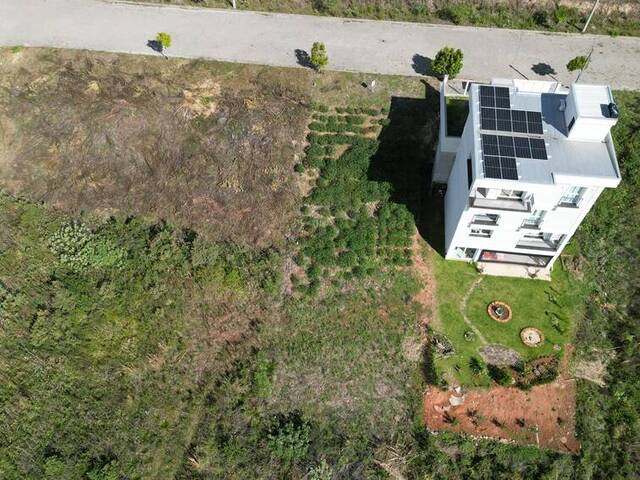 #407 - Terreno para Venda em Flores da Cunha - RS - 3