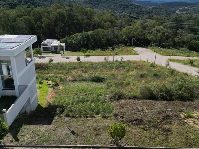 Terreno para Venda em Flores da Cunha - 4