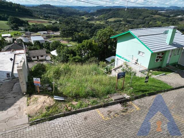 #408 - Terreno para Venda em Flores da Cunha - RS - 2