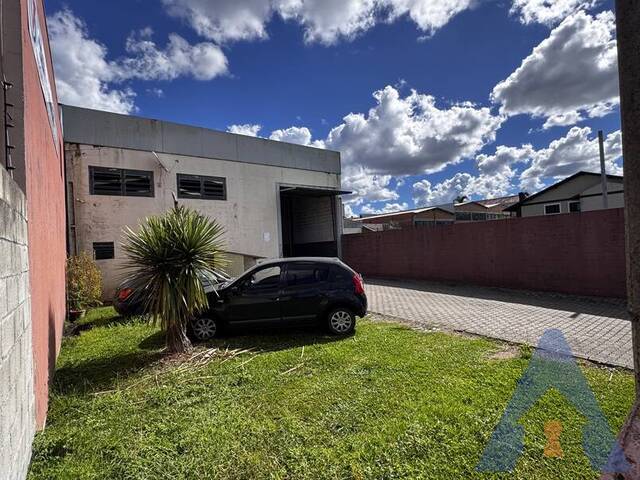 #409 - Pavilhão para Venda em Caxias do Sul - RS - 3