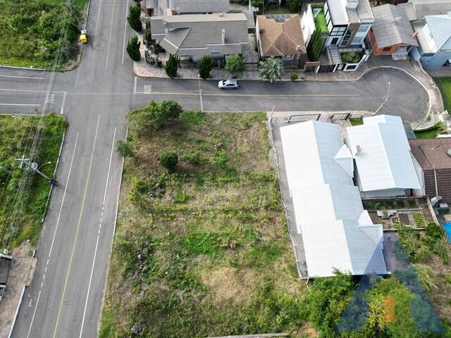 Terreno para Venda em Flores da Cunha - 4