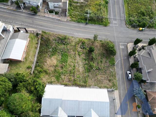 #410 - Terreno para Venda em Flores da Cunha - RS - 3