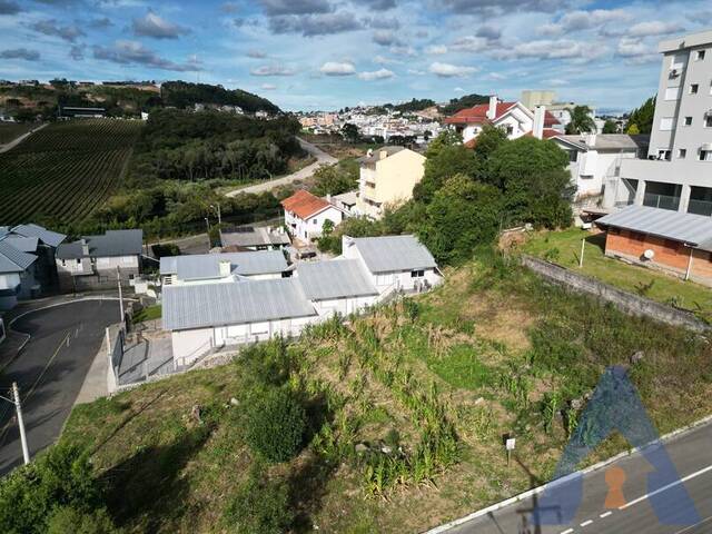 #410 - Terreno para Venda em Flores da Cunha - RS - 2