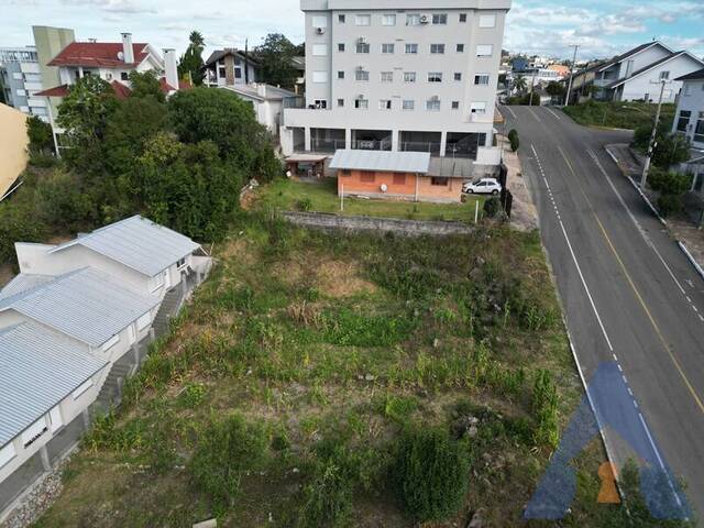 Terreno para Venda em Flores da Cunha - 5