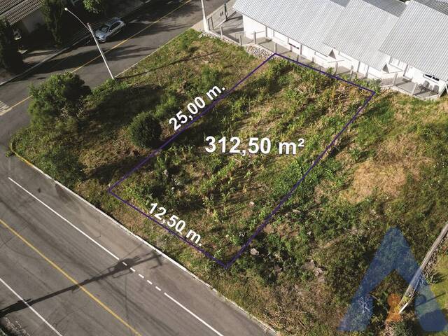 #410 - Terreno para Venda em Flores da Cunha - RS - 1