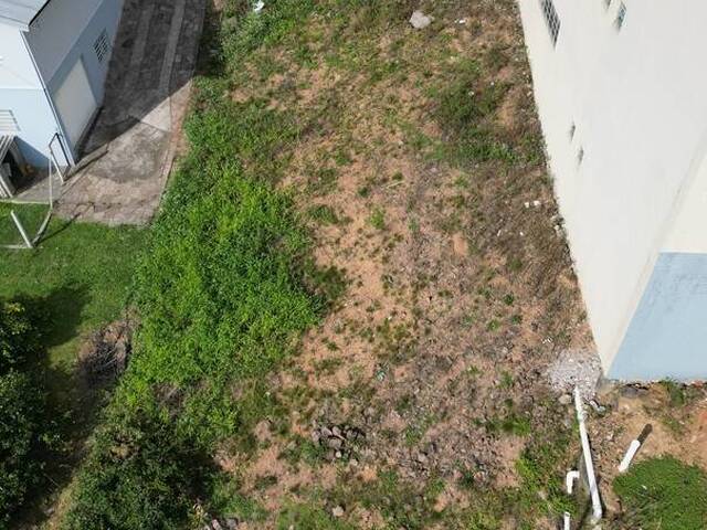 Terreno para Venda em Flores da Cunha - 5