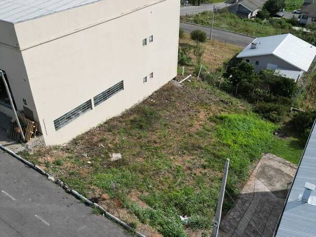 #411 - Terreno para Venda em Flores da Cunha - RS - 3