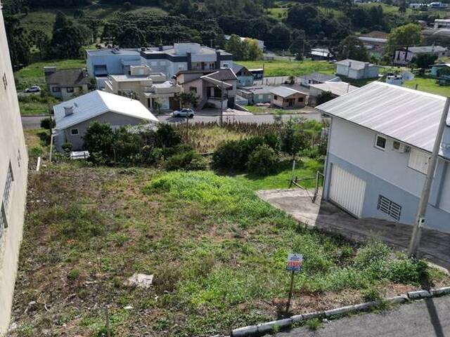 Terreno para Venda em Flores da Cunha - 4