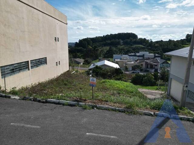 #411 - Terreno para Venda em Flores da Cunha - RS - 2