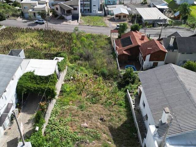 #412 - Terreno para Venda em Flores da Cunha - RS - 2