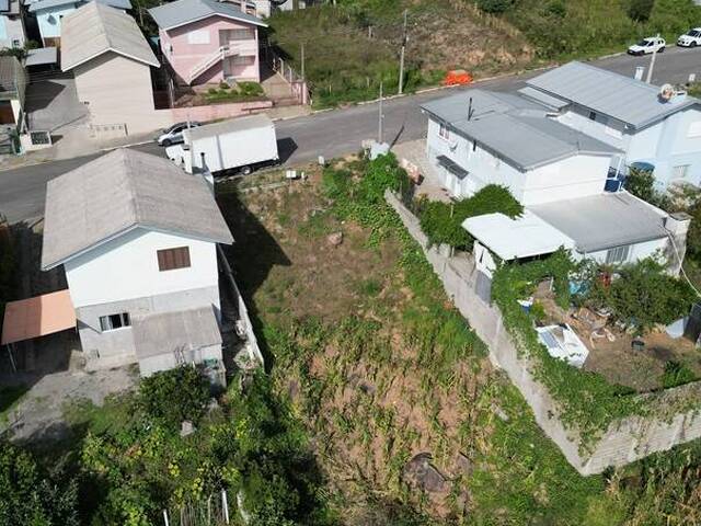 #412 - Terreno para Venda em Flores da Cunha - RS - 3