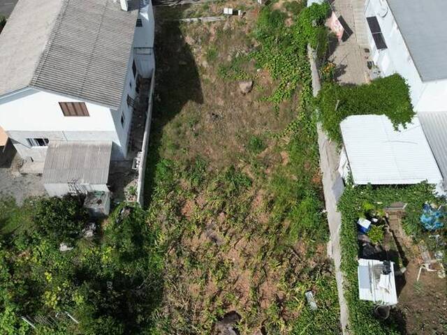 Terreno para Venda em Flores da Cunha - 4