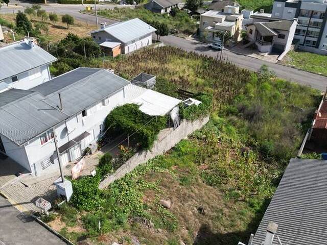 Terreno para Venda em Flores da Cunha - 5