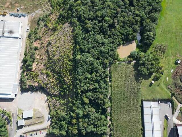 Chácara para Venda em Flores da Cunha - 5