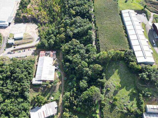 #415 - Chácara para Venda em Flores da Cunha - RS - 2
