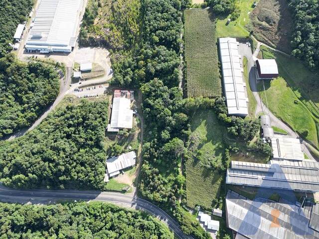 Chácara para Venda em Flores da Cunha - 4