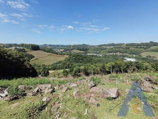 #416 - Chácara para Venda em Flores da Cunha - RS - 1