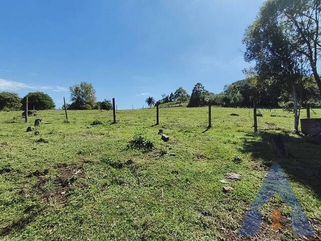 #416 - Chácara para Venda em Flores da Cunha - RS - 2