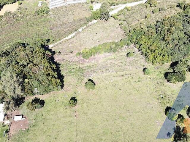 #416 - Chácara para Venda em Flores da Cunha - RS - 3