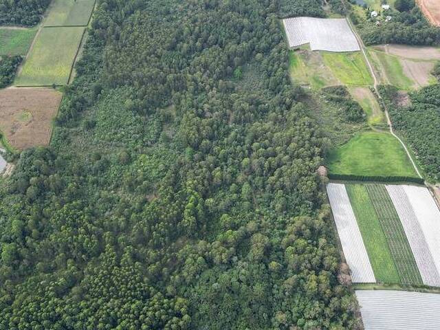 #418 - Chácara para Venda em Farroupilha - RS - 1