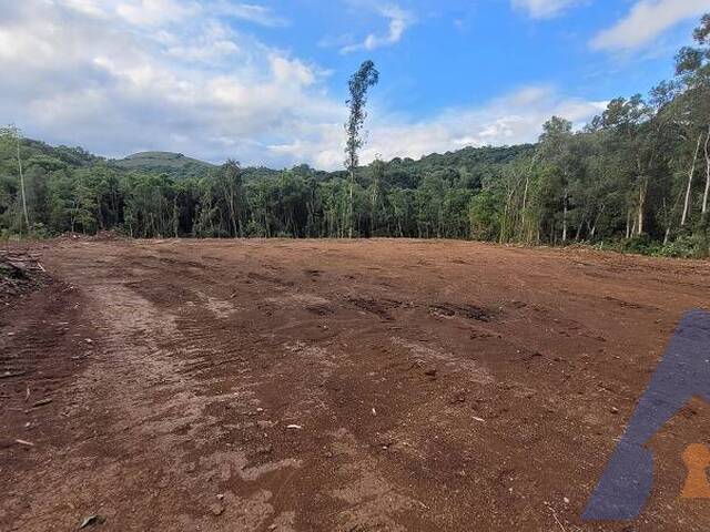#327 - Chácara para Venda em Flores da Cunha - RS - 3